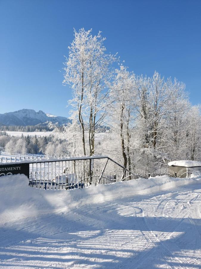 Apartamenty Bachledzki Wierch Zakopane Exteriör bild