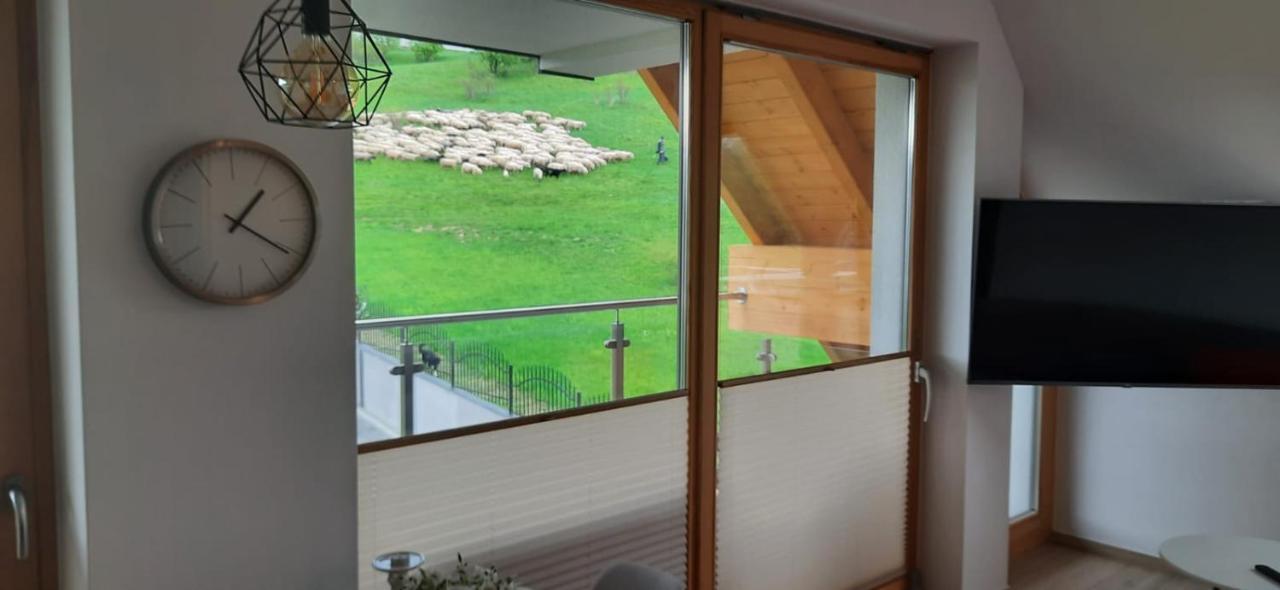 Apartamenty Bachledzki Wierch Zakopane Exteriör bild